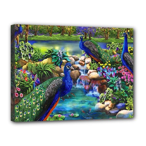 Peacocks In Garden Canvas 16  X 12  (stretched) by Ndabl3x