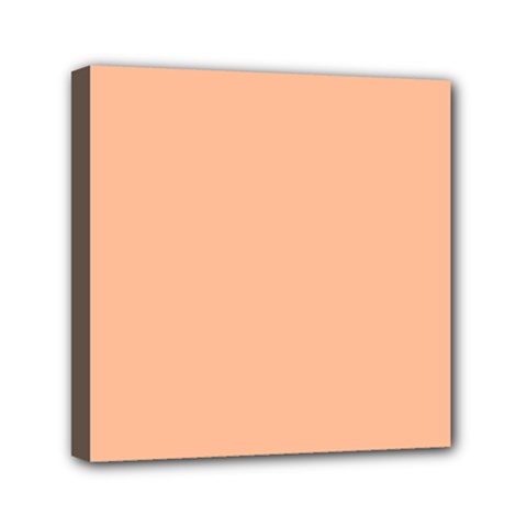 Peach Fuzz 2024 Mini Canvas 6  X 6  (stretched) by dressshop