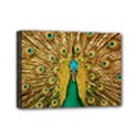Peacock Feather Bird Peafowl Mini Canvas 7  x 5  (Stretched) View1