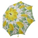 Fruit-2310212 Hook Handle Umbrellas (Small) View2
