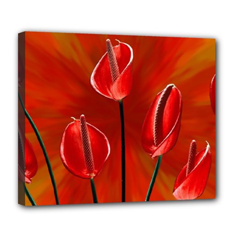 Flowers Red Deluxe Canvas 24  X 20  (stretched) by Askadina