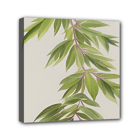 Watercolor Leaves Branch Nature Plant Growing Still Life Botanical Study Mini Canvas 6  X 6  (stretched) by Posterlux