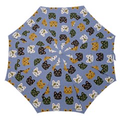 Cat Cat Background Animals Little Cat Pets Kittens Straight Umbrellas by Maspions