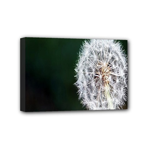 White Flower Mini Canvas 6  X 4  (stretched) by Azkajaya