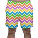 Chevron Pattern Design Texture Men s Shorts View1