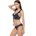 Line Square Pattern Violet Blue Yellow Design Low Cut Ruffle Edge Bikini Set View2