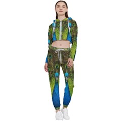 Peacock Feathers Bird Plumage Cropped Zip Up Lounge Set by Perong