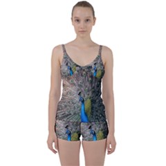 Peacock Bird Animal Peafowl Tie Front Two Piece Tankini by Perong