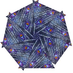 Peacock Bird Feathers Coloured Plumage Automatic Folding Umbrella With Case (small) by Perong