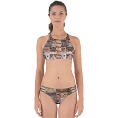 Breeds Of Cats Collage Perfectly Cut Out Bikini Set by kyorashop23