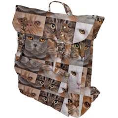 Breeds Of Cats Collage Buckle Up Backpack by kyorashop23