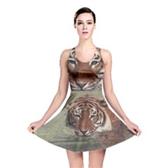 Swimming Tiger Reversible Skater Dress by ExtraAwesomeSauce
