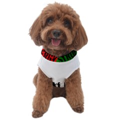Strong Italian Energy Dog Sweater by ConteMonfrey