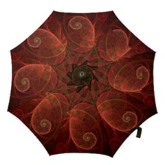  Falupadupe Hook Handle Umbrellas (medium) by geonetique