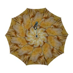 Homemade Flan Extreme Close-up Texture Automatic Folding Umbrella With Case (large) by dflcprintsclothing