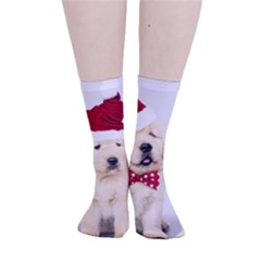 Christmas Puppies, Santa, Craciun, Christmas, Funny, Hat, Puppy, Red Smooth Crew Length Tube Socks by kyorashop23