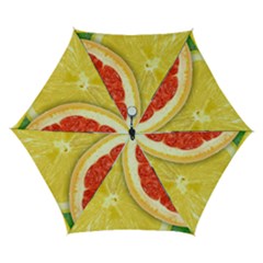 Fruit, Lemon Automatic Folding Umbrella With Case (small) by kyorashop23