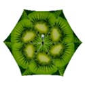 Kiwi Fruits, Close-up, Exotic Fruit Automatic Folding Umbrella with Case (Small) View1