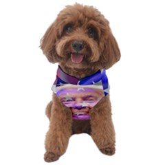 Donald Trump Flag Dog Sweater by vintagetrump