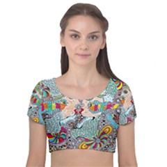 Supersonicangeldream Velvet Short Sleeve Crop Top  by chellerayartisans