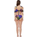 Abstract Colors - , Abstract Colors Ruffle Edge Tie Up Bikini Set	 View4