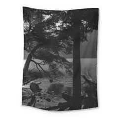 Los Alerces National Park Waterfront Landscape, Argentina002 Medium Tapestry by dflcprintsclothing