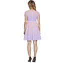 Pale Pink To Pale Violet Linear Gradient Cap Sleeve High Waist Dress View4