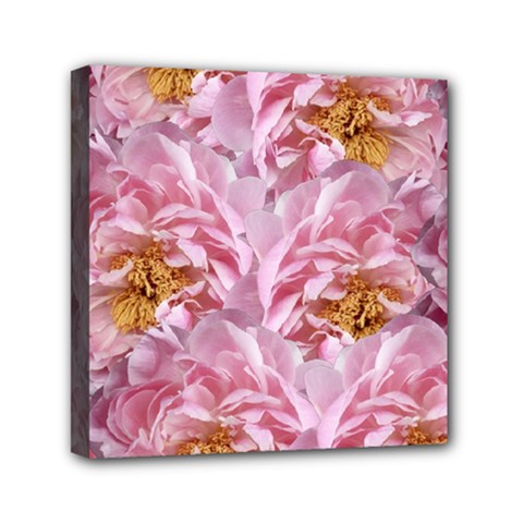 Peonies Nature Bloom Blossom Pink Mini Canvas 6  X 6  (stretched) by Tsamara