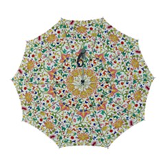 Owenjones Chinese 02 Bright-001 Automatic Folding Umbrella With Case (large) by Pixelchicken