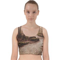 Path Trees Forest Fantasy Velvet Racer Back Crop Top by Anend