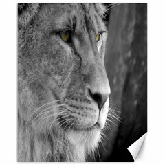 Lion 1 Canvas 16  X 20  (unframed) by smokeart
