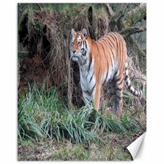 Tiger Canvas 16  X 20  (unframed) by smokeart