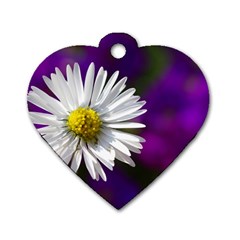 Daisy Dog Tag Heart (one Sided)  by Siebenhuehner