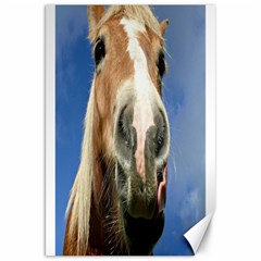 Haflinger  Canvas 20  X 30  (unframed) by Siebenhuehner