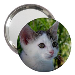 Young Cat 3  Handbag Mirror by Siebenhuehner