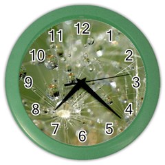 Dandelion Wall Clock (color) by Siebenhuehner