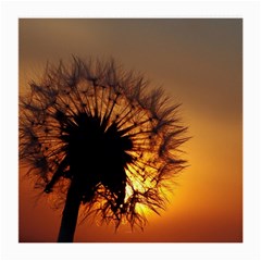 Dandelion Glasses Cloth (medium, Two Sided) by Siebenhuehner
