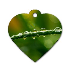 Waterdrops Dog Tag Heart (two Sided) by Siebenhuehner