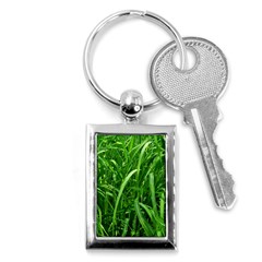 Grass Key Chain (rectangle) by Siebenhuehner
