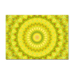 Mandala A4 Sticker 10 Pack by Siebenhuehner