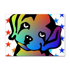 Dog A4 Sticker 100 Pack by Siebenhuehner