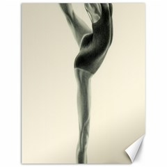 Attitude Canvas 12  X 16  (unframed) by TonyaButcher