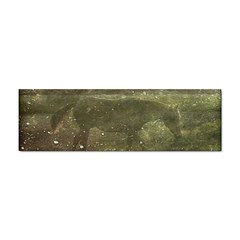 Flora And Fauna Dreamy Collage Bumper Sticker 100 Pack by dflcprints