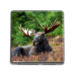 Majestic Moose Memory Card Reader With Storage (square) by StuffOrSomething