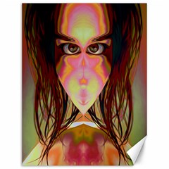 Cat Woman Canvas 12  X 16  (unframed) by icarusismartdesigns