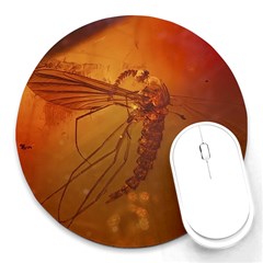Mosquito In Amber Round Mousepads by trendistuff