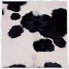 Spotted Cow Hide Canvas 12  X 12   by trendistuff