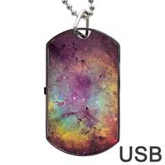 Ic 1396 Dog Tag Usb Flash (one Side) by trendistuff