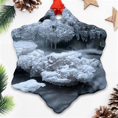 Ice And Water Ornament (snowflake)  by trendistuff