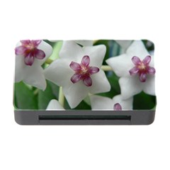 Hoyabella Memory Card Reader With Cf by trendistuff